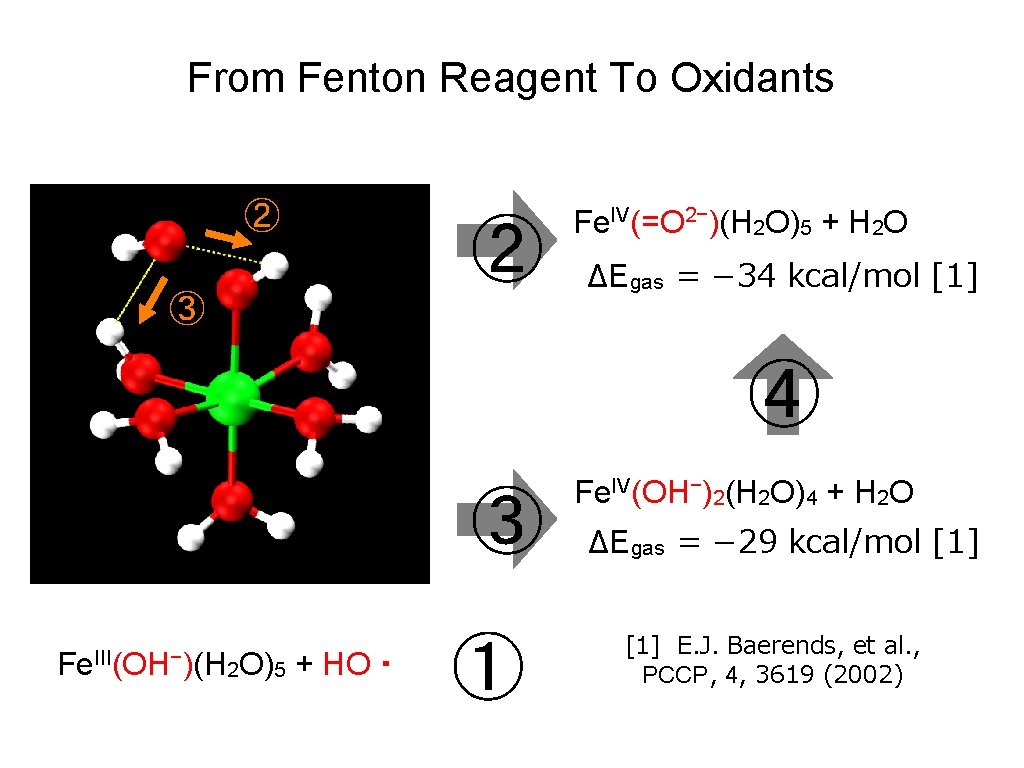 From Fenton Reagent To Oxidants ② ② ③ Fe. IV(=O 2−)(H 2 O)5 +