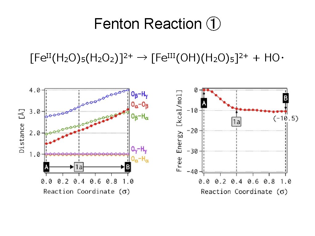 Fenton Reaction ① [Fe. II(H 2 O)5(H 2 O 2)]2+ → [Fe. III(OH)(H 2