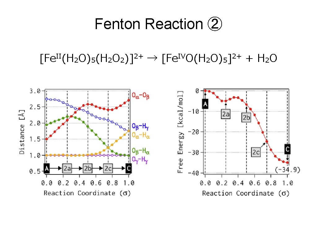 Fenton Reaction ② [Fe. II(H 2 O)5(H 2 O 2)]2+ → [Fe. IVO(H 2