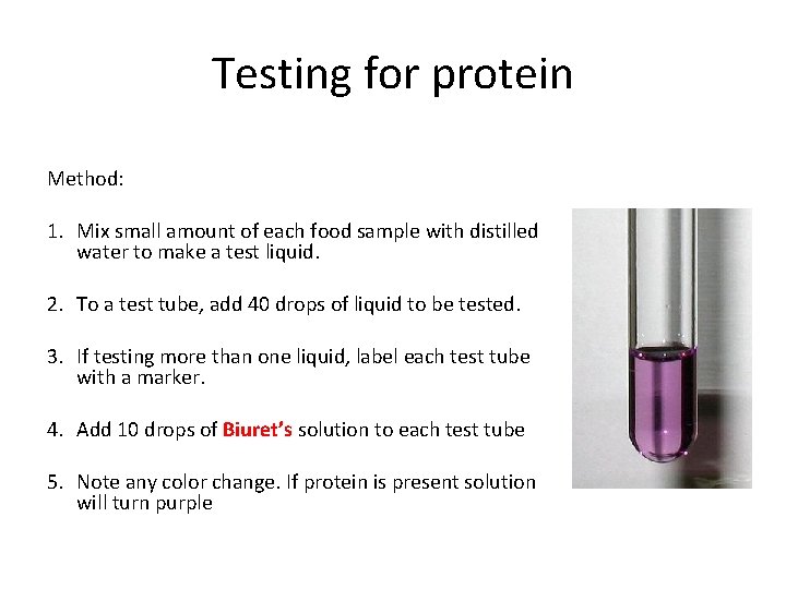 Testing for protein Method: 1. Mix small amount of each food sample with distilled