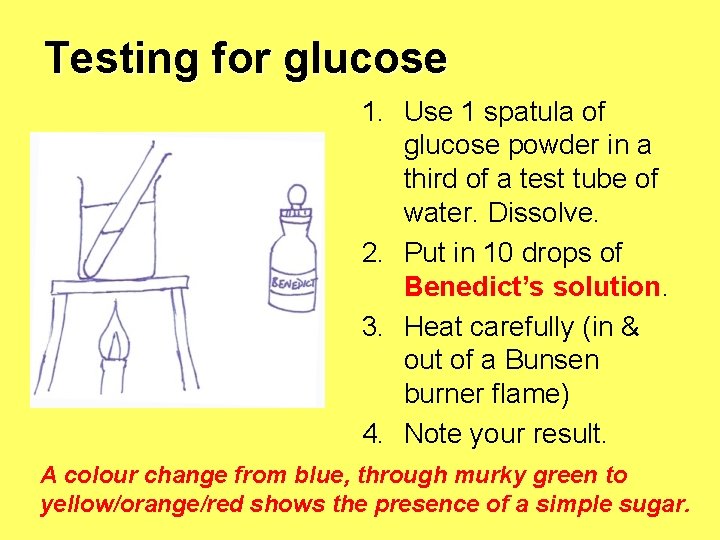 Testing for glucose 1. Use 1 spatula of glucose powder in a third of