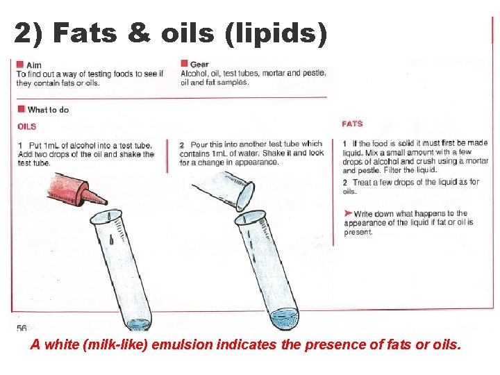 2) Fats & oils (lipids) A white (milk-like) emulsion indicates the presence of fats 2) Fats & oils (lipids) A white (milk-like) emulsion indicates the presence of fats