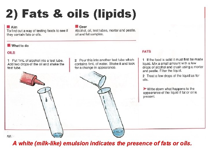 2) Fats & oils (lipids) A white (milk-like) emulsion indicates the presence of fats