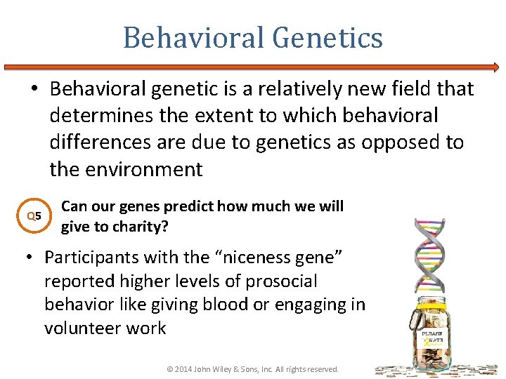 Behavioral Genetics • Behavioral genetic is a relatively new field that determines the extent