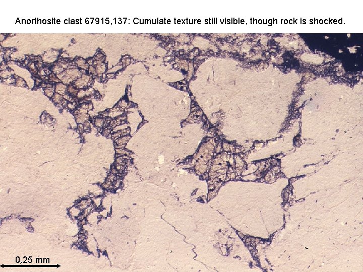 Anorthosite clast 67915, 137: Cumulate texture still visible, though rock is shocked. Jeffmm Taylor