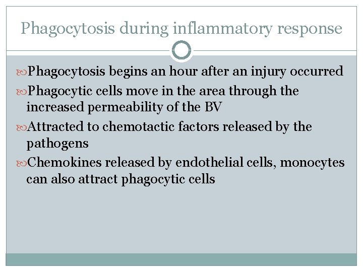 Phagocytosis during inflammatory response Phagocytosis begins an hour after an injury occurred Phagocytic cells
