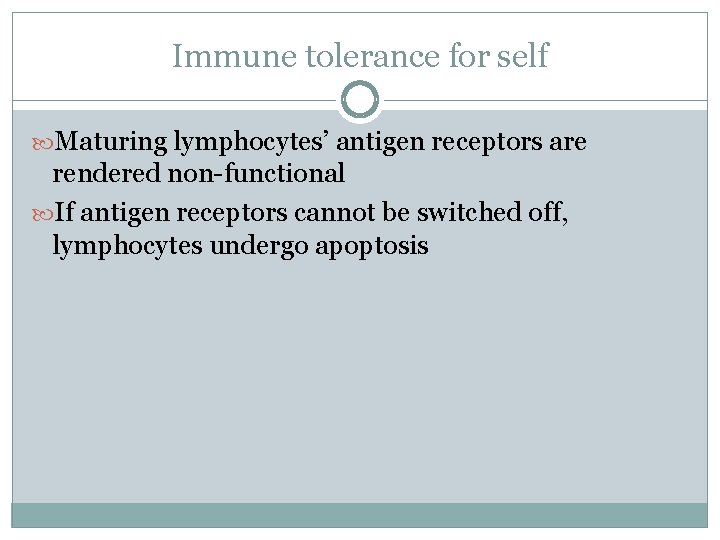 Immune tolerance for self Maturing lymphocytes’ antigen receptors are rendered non-functional If antigen receptors