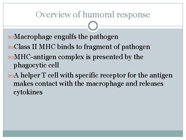 Overview of humoral response Macrophage engulfs the pathogen Class II MHC binds to fragment Overview of humoral response Macrophage engulfs the pathogen Class II MHC binds to fragment