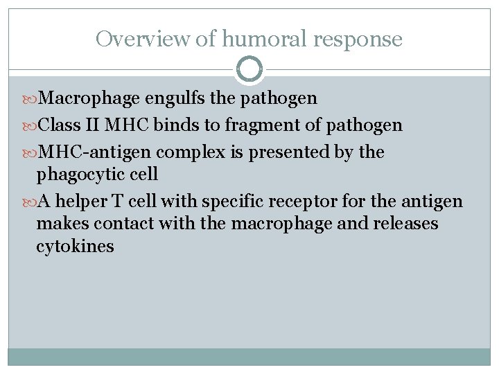 Overview of humoral response Macrophage engulfs the pathogen Class II MHC binds to fragment