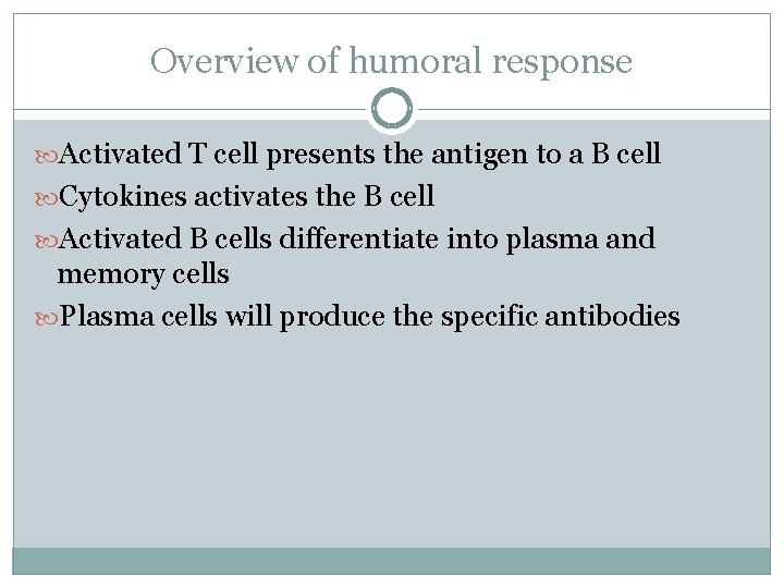 Overview of humoral response Activated T cell presents the antigen to a B cell Overview of humoral response Activated T cell presents the antigen to a B cell