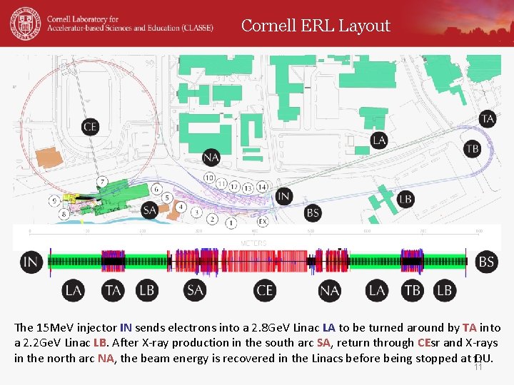 Cornell ERL Layout The 15 Me. V injector IN sends electrons into a 2.