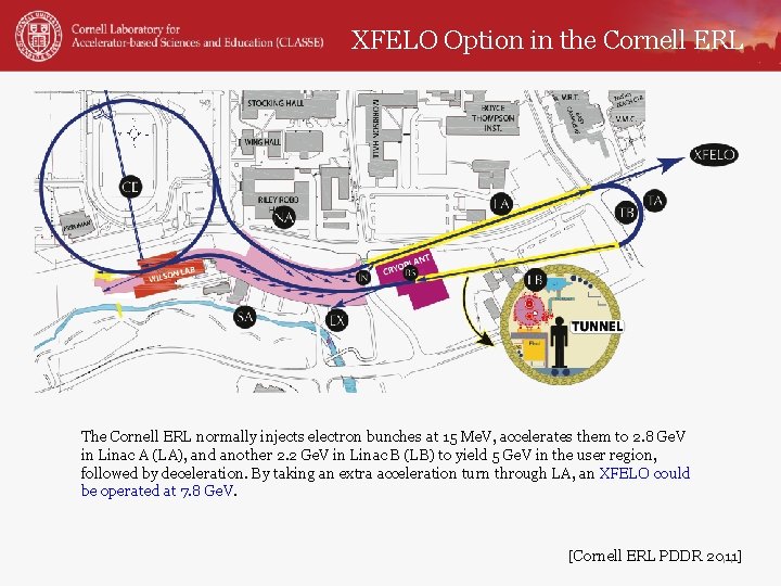 XFELO Option in the Cornell ERL The Cornell ERL normally injects electron bunches at