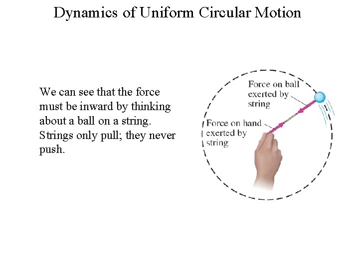 Dynamics of Uniform Circular Motion We can see that the force must be inward