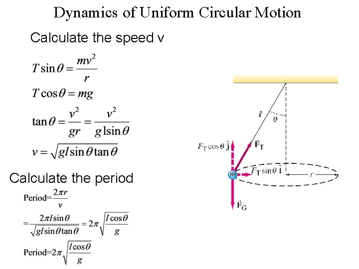 Dynamics of Uniform Circular Motion Calculate the speed v Calculate the period 