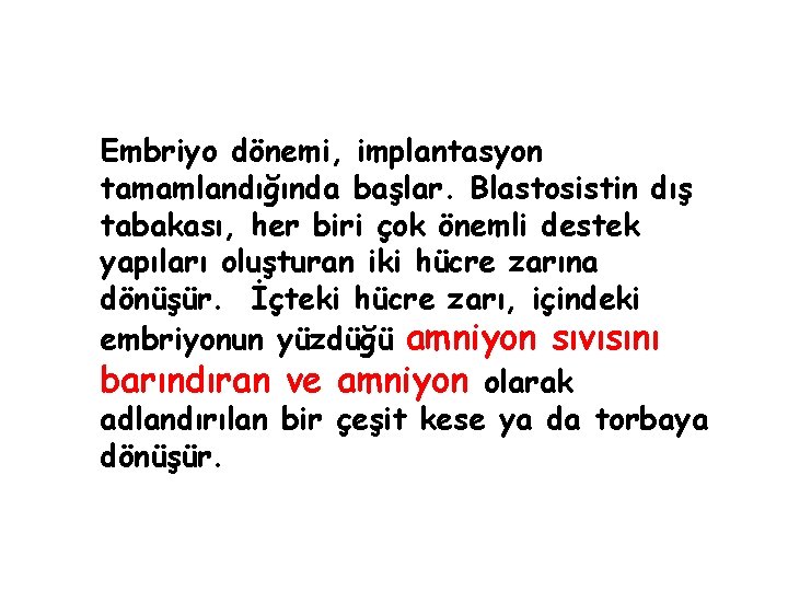 Embriyo dönemi, implantasyon tamamlandığında başlar. Blastosistin dış tabakası, her biri çok önemli destek yapıları