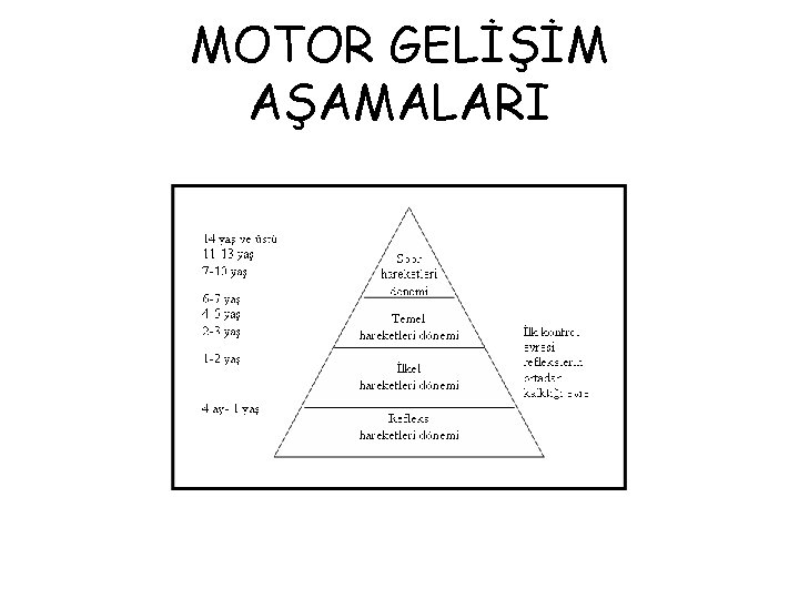 MOTOR GELİŞİM AŞAMALARI 