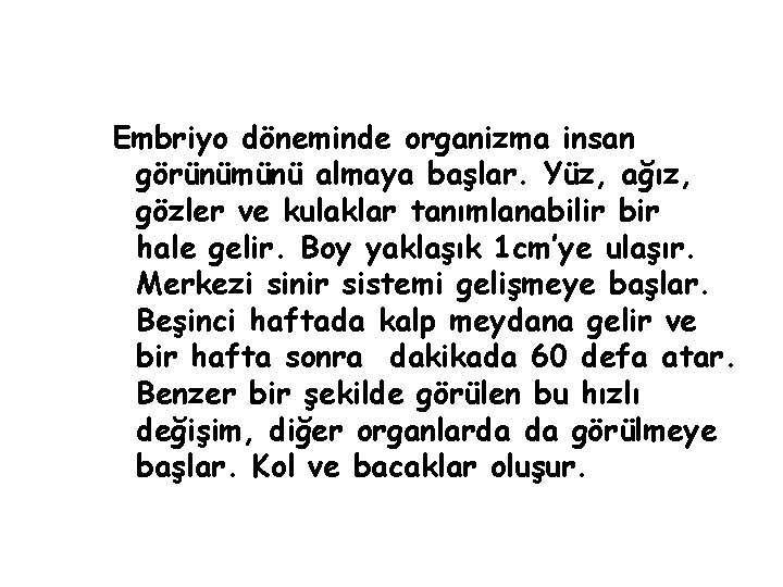 Embriyo döneminde organizma insan görünümünü almaya başlar. Yüz, ağız, gözler ve kulaklar tanımlanabilir bir