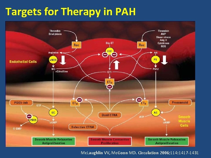 Targets for Therapy in PAH Mc. Laughlin VV, Mc. Goon MD. Circulation 2006; 114: