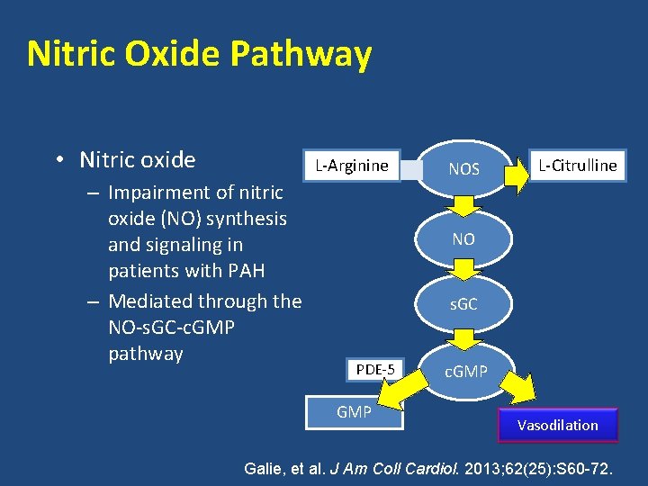 Nitric Oxide Pathway • Nitric oxide L-Arginine – Impairment of nitric oxide (NO) synthesis
