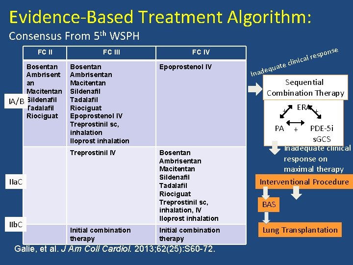 Evidence-Based Treatment Algorithm: Consensus From 5 th WSPH FC II IA/B Bosentan Ambrisent an