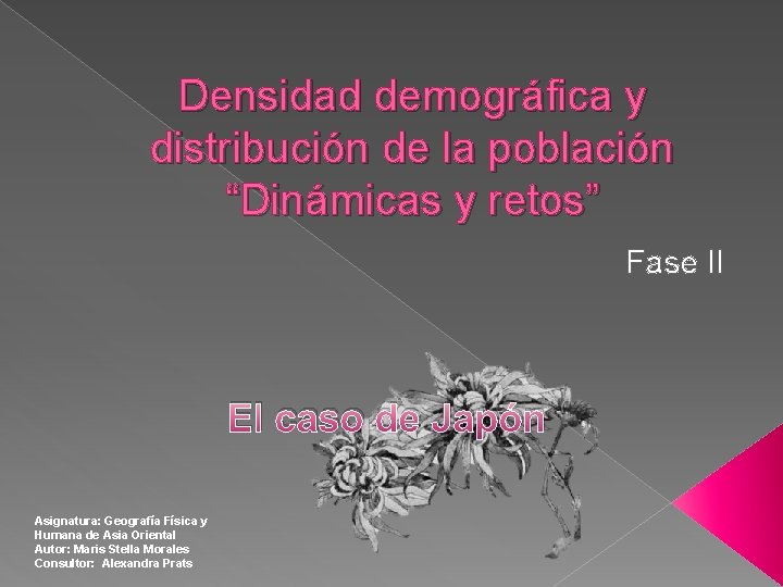 Densidad demográfica y distribución de la población “Dinámicas y retos” Fase II El caso