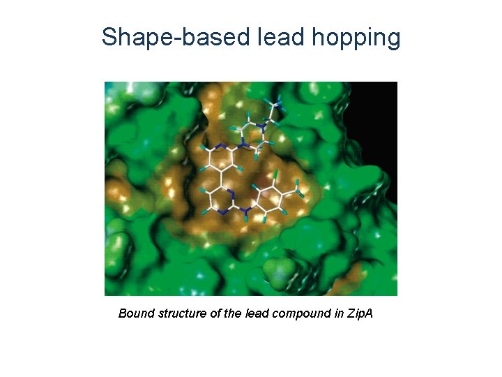 Shape-based lead hopping Bound structure of the lead compound in Zip. A Shape-based lead hopping Bound structure of the lead compound in Zip. A