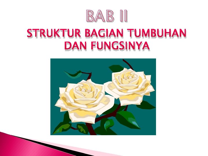 BAB II STRUKTUR BAGIAN TUMBUHAN DAN FUNGSINYA 