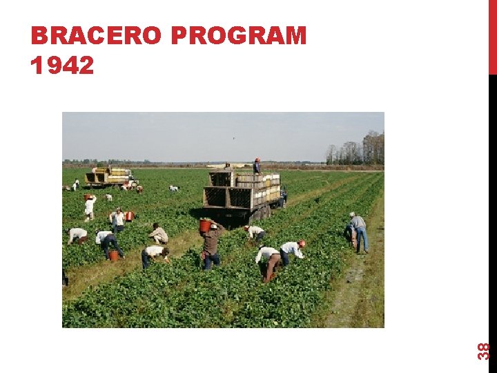 38 BRACERO PROGRAM 1942 