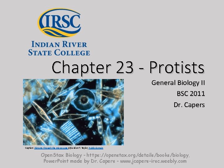 Chapter 23 - Protists Insert photo here representing chapter General Biology II BSC 2011