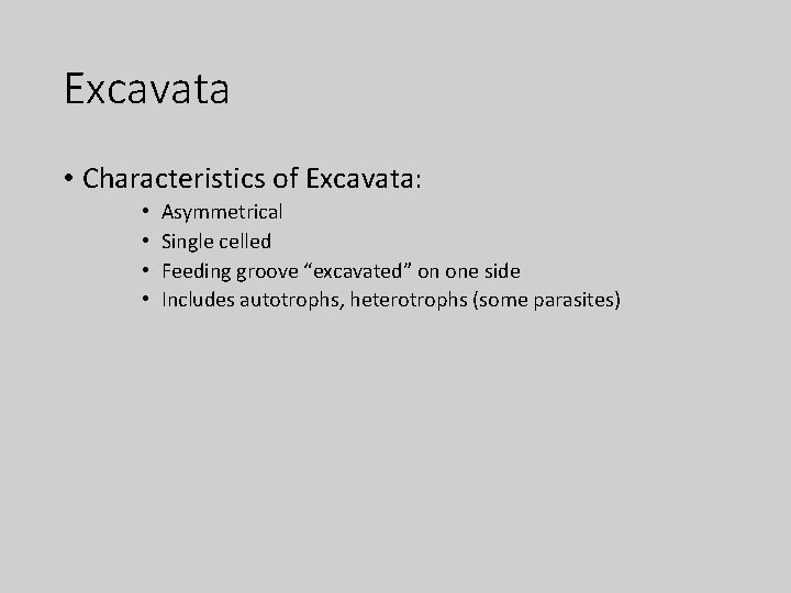 Excavata • Characteristics of Excavata: • • Asymmetrical Single celled Feeding groove “excavated” on