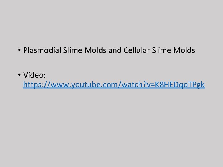  • Plasmodial Slime Molds and Cellular Slime Molds • Video: https: //www. youtube.