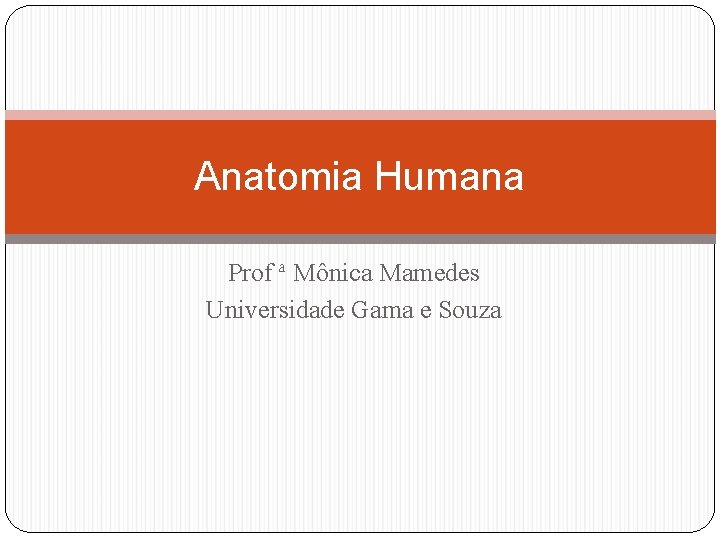Anatomia Humana Prof ª Mônica Mamedes Universidade Gama e Souza 