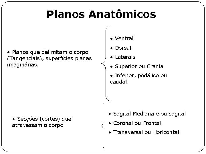 Planos Anatômicos • Ventral • Planos que delimitam o corpo (Tangenciais), superfícies planas imaginárias.