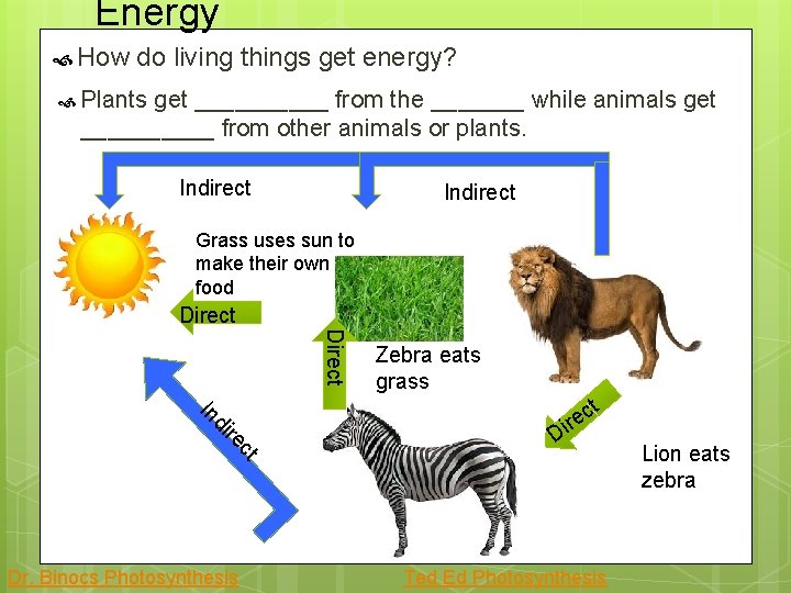 Energy How do living things get energy? Plants get _____ from the _______ while