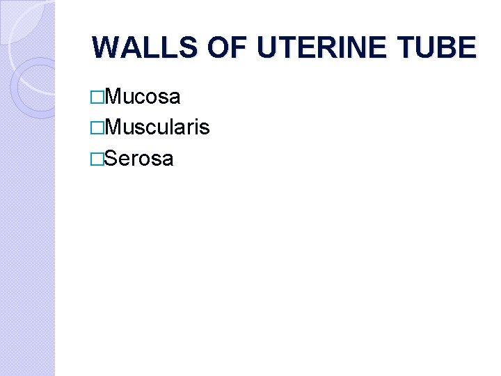 WALLS OF UTERINE TUBE �Mucosa �Muscularis �Serosa 