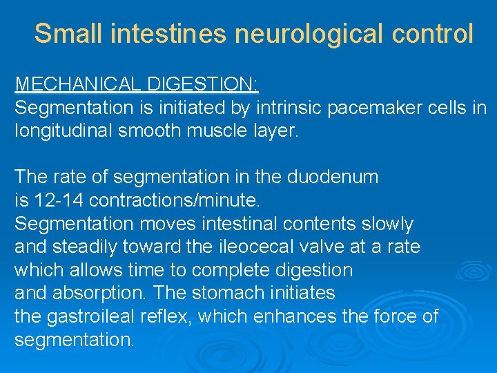 Small intestines neurological control MECHANICAL DIGESTION: Segmentation is initiated by intrinsic pacemaker cells in