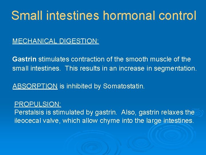 Small intestines hormonal control MECHANICAL DIGESTION: Gastrin stimulates contraction of the smooth muscle of