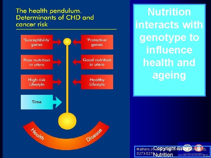 Nutrition interacts with genotype to influence health and ageing British Mathers JCCopyright (2002) Br.