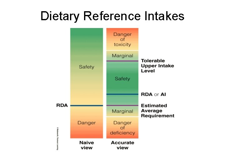 Dietary Reference Intakes 