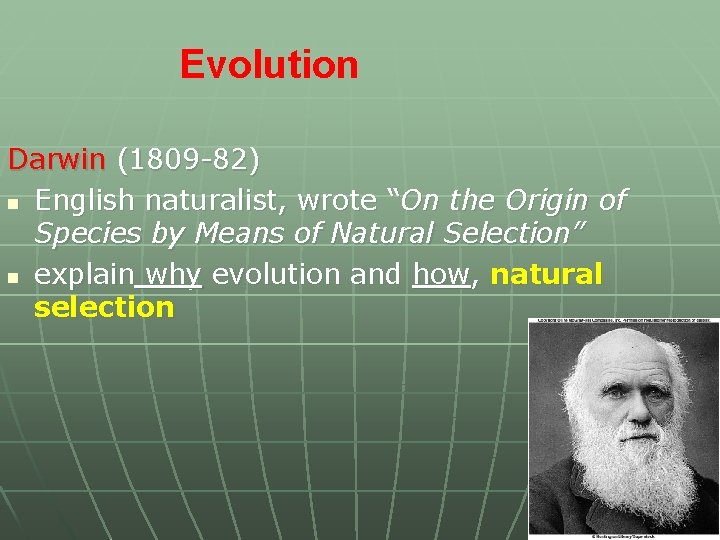 Evolution Darwin (1809 -82) n English naturalist, wrote “On the Origin of Species by