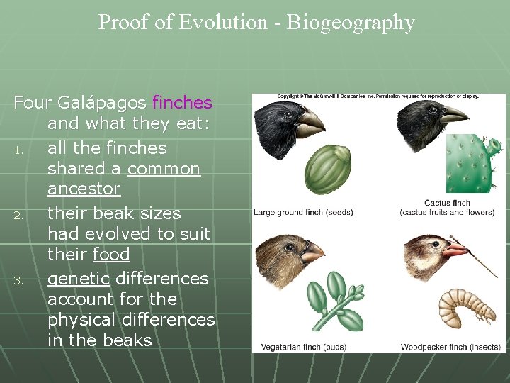 Proof of Evolution - Biogeography Four Galápagos finches and what they eat: 1. all