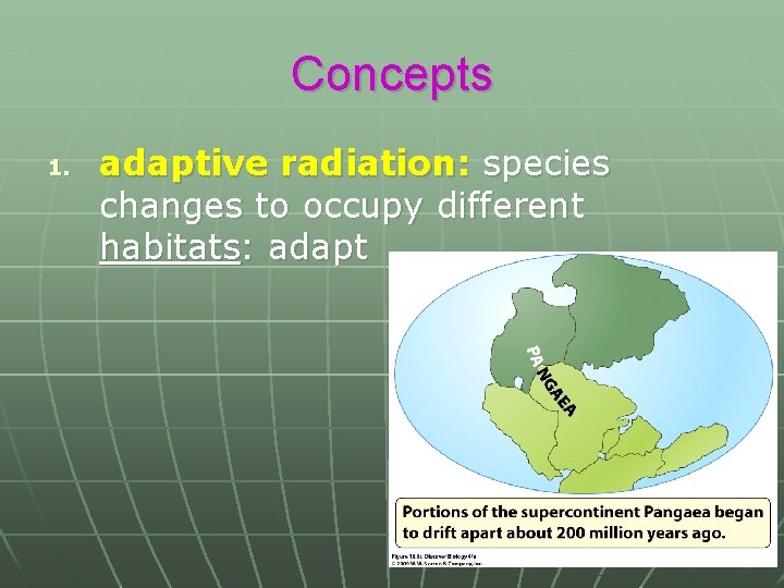 Concepts 1. adaptive radiation: species changes to occupy different habitats: adapt 