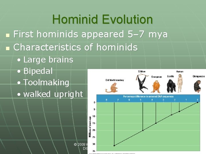 Hominid Evolution n n First hominids appeared 5– 7 mya Characteristics of hominids •