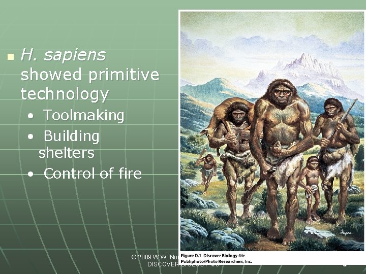 n H. sapiens showed primitive technology • Toolmaking • Building shelters • Control of