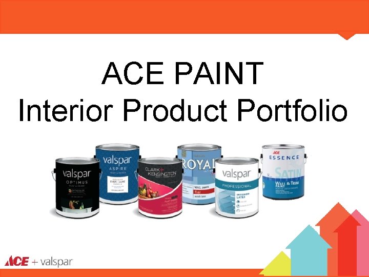 ACE PAINT Interior Product Portfolio 