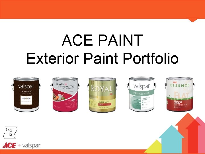 Paint Reinvention Ace Training Welcome Vision - Is Ace Royal Paint Good