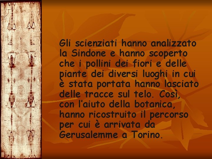 Gli scienziati hanno analizzato la Sindone e hanno scoperto che i pollini dei fiori