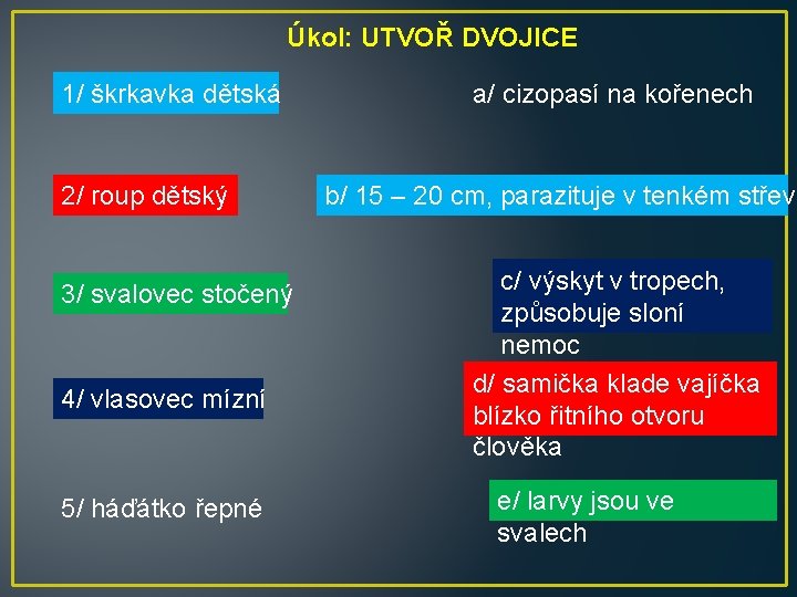 Úkol: UTVOŘ DVOJICE 1/ škrkavka dětská 2/ roup dětský 3/ svalovec stočený 4/ vlasovec