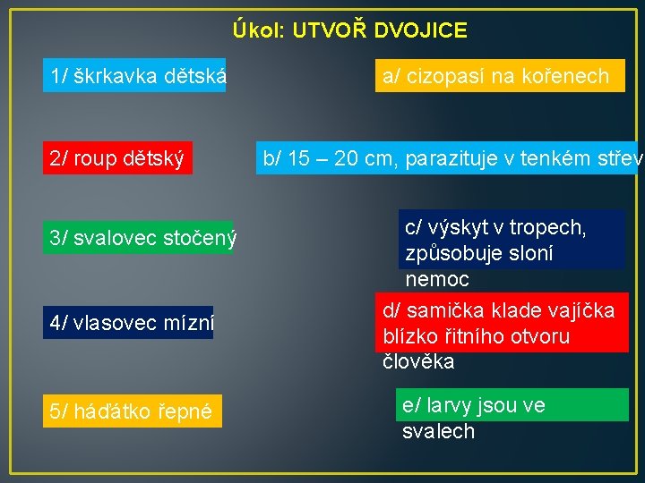 Úkol: UTVOŘ DVOJICE 1/ škrkavka dětská 2/ roup dětský 3/ svalovec stočený 4/ vlasovec