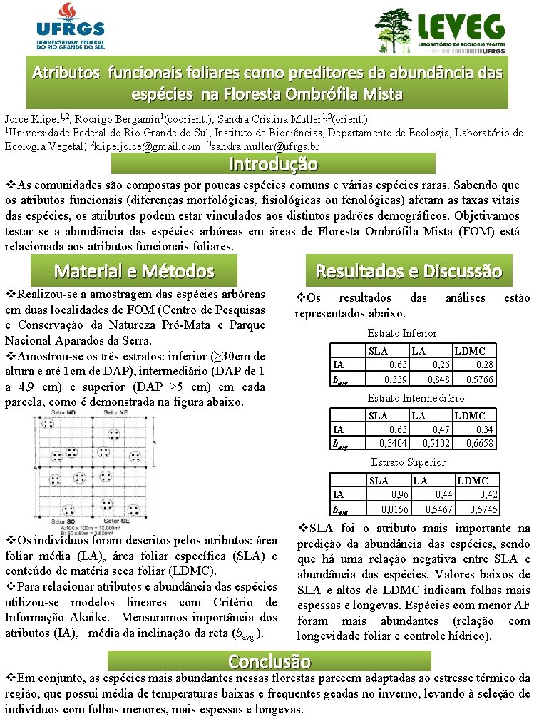 Atributos funcionais foliares como preditores da abundância das espécies na Floresta Ombrófila Mista Joice